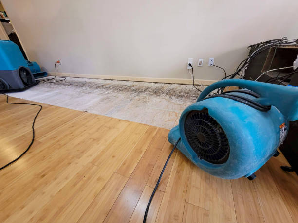 Professional Ceiling Water Damage Repair technician working in Kingman, ME
